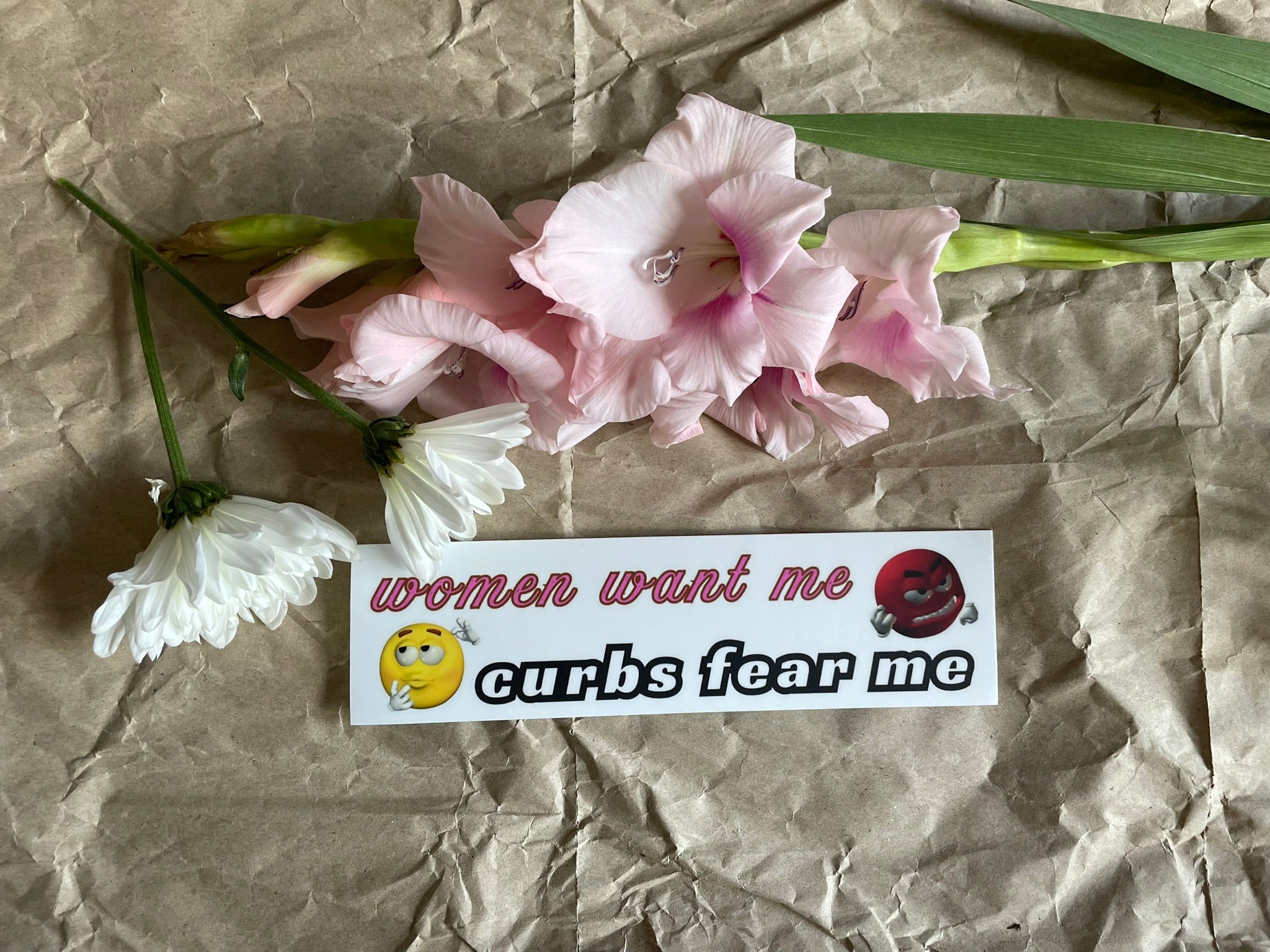 'Women Want Me Curbs Fear Me' Bumper Sticker